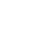 no-image-light